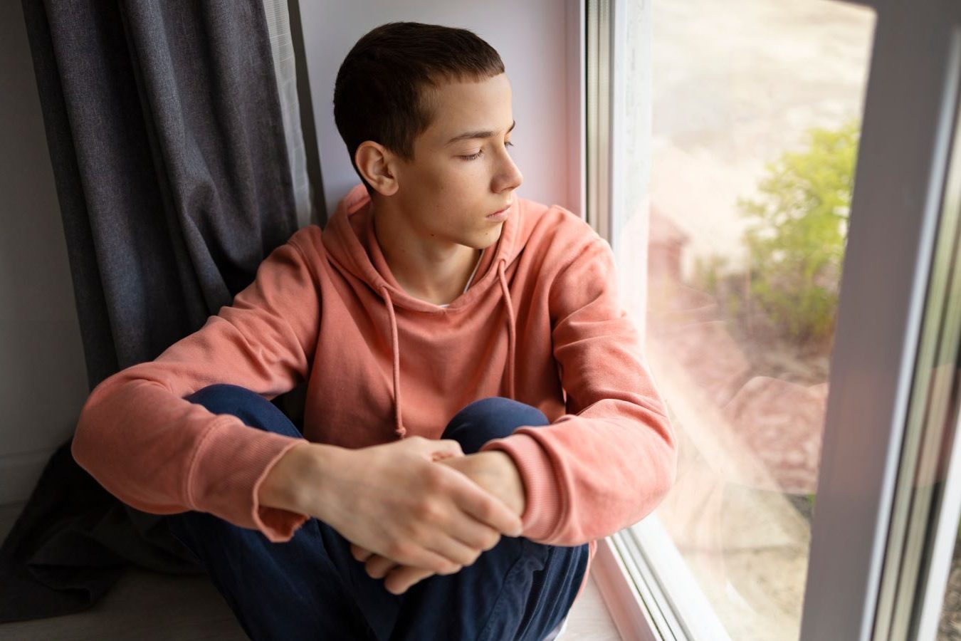 Descripción de la imagen